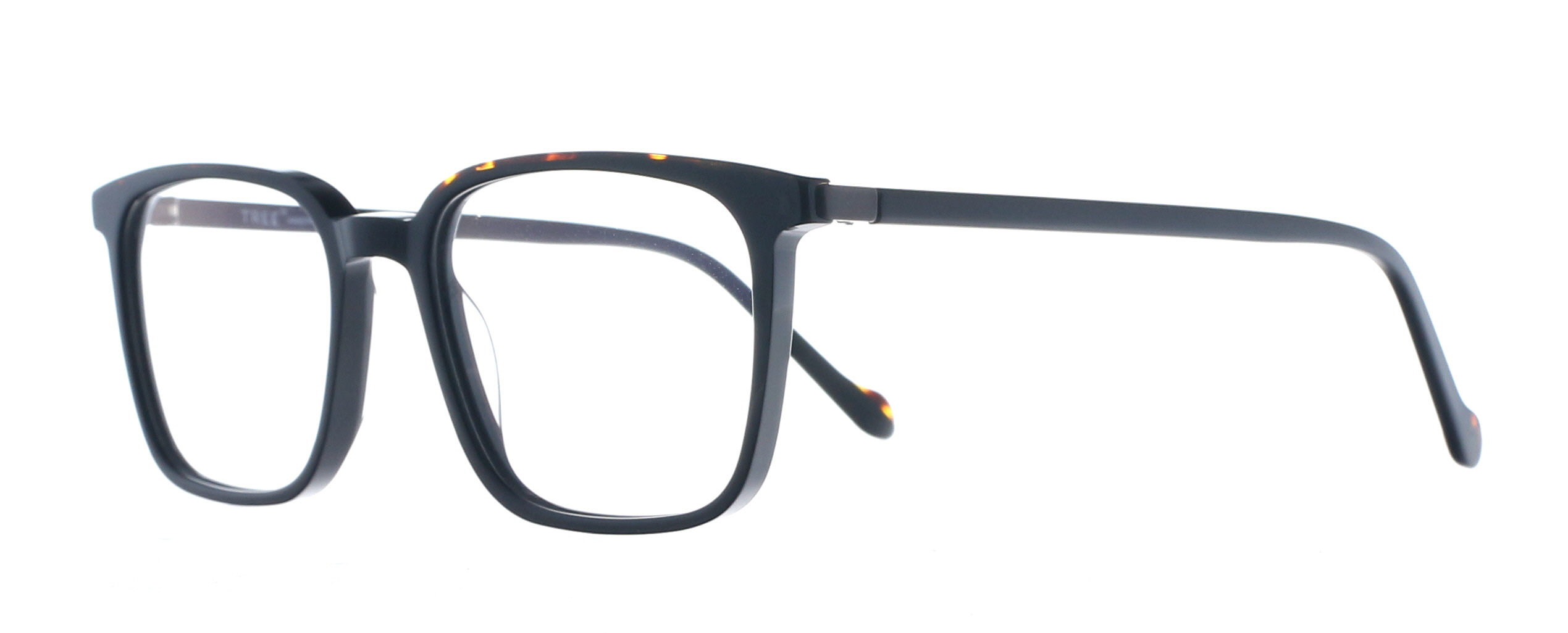 Picture of Tree Bruno