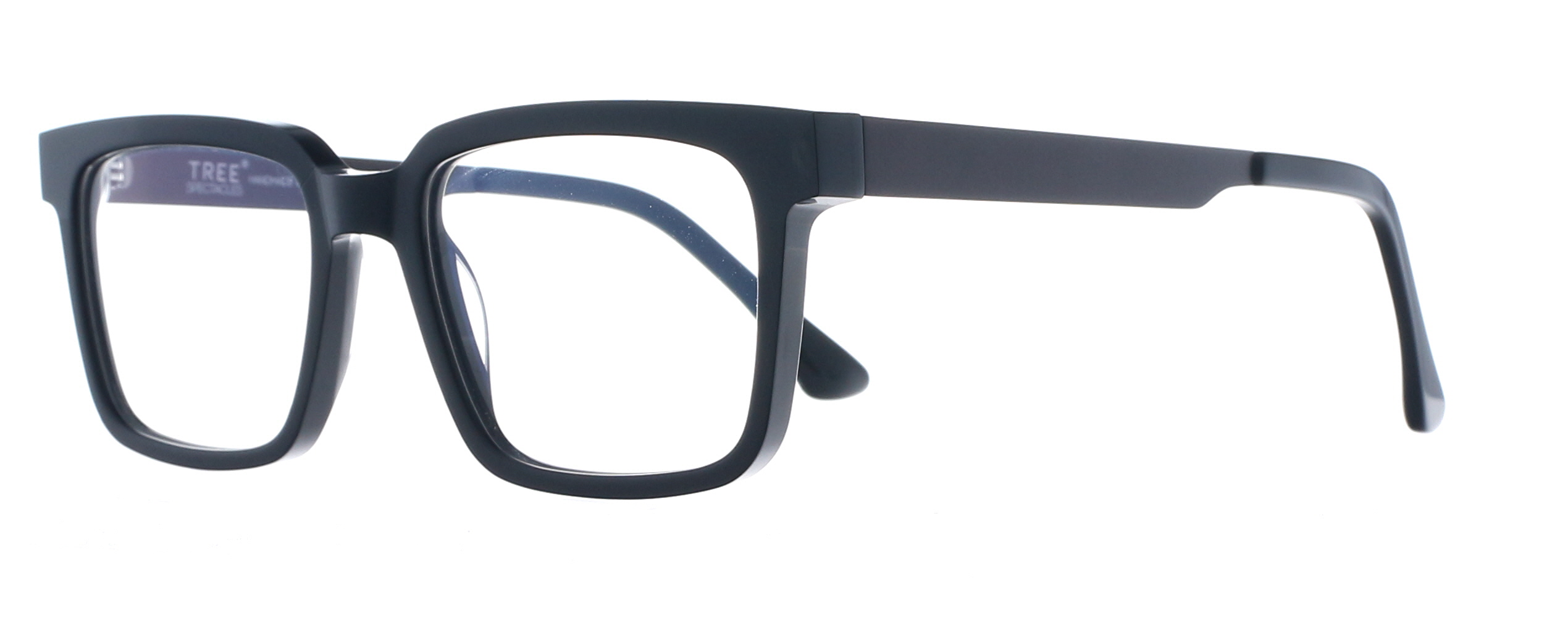 Picture of Tree Enea