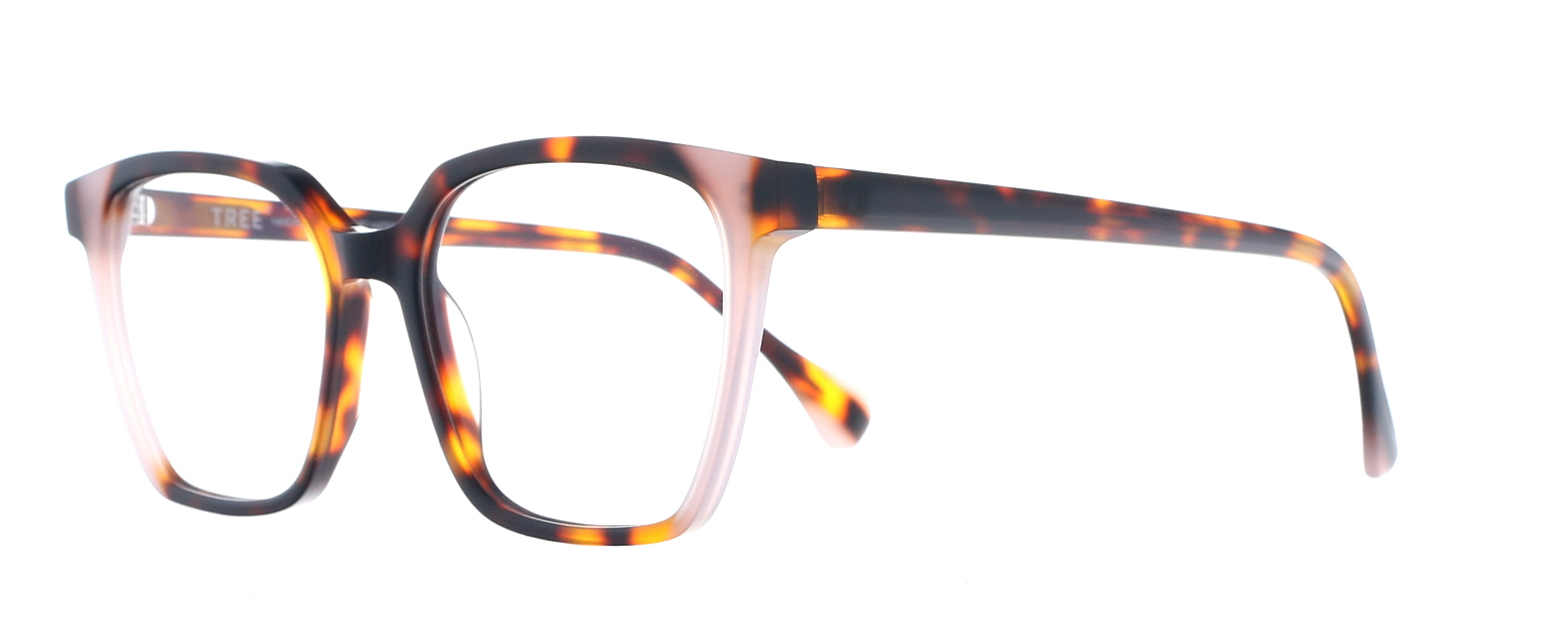 Picture of Tree Hydra